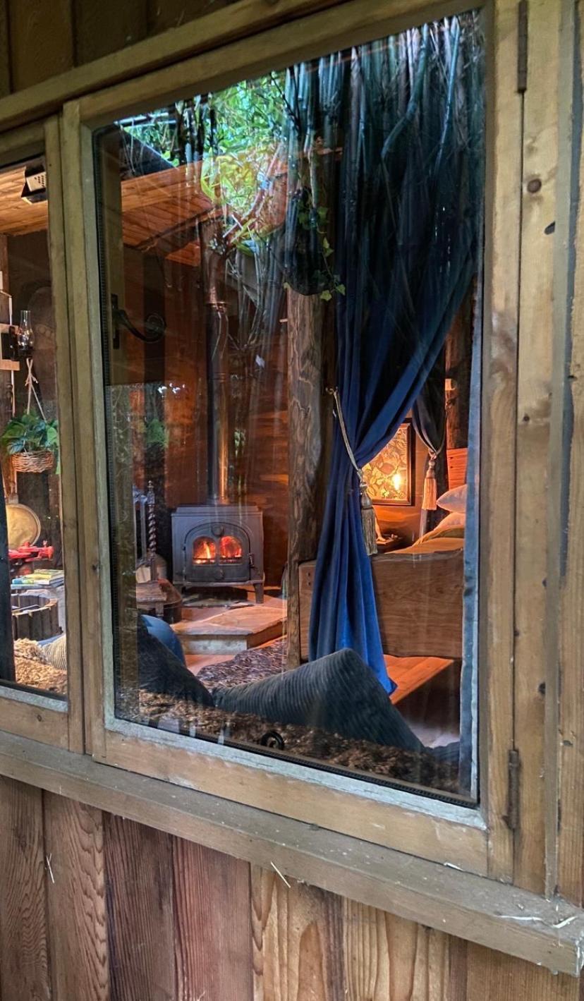 Jungle Cabin Martin Mill Eksteriør bilde