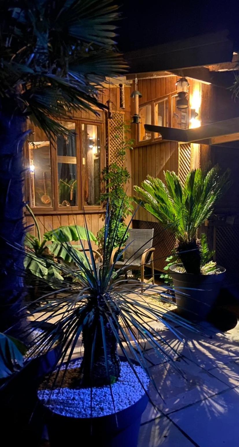 Jungle Cabin Martin Mill Eksteriør bilde