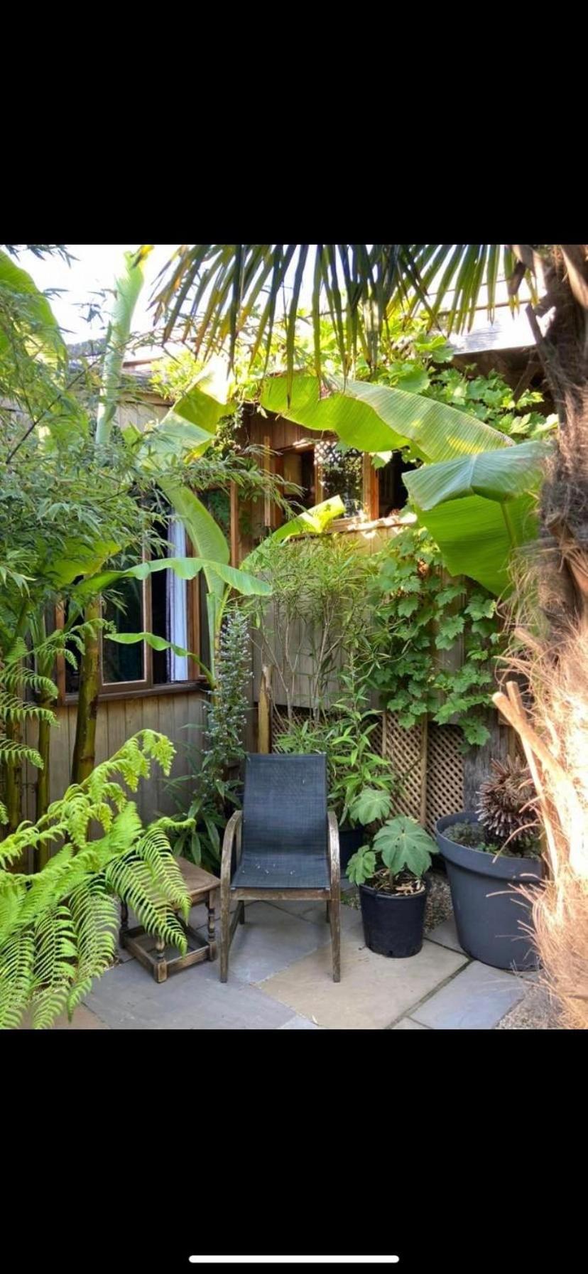 Jungle Cabin Martin Mill Eksteriør bilde
